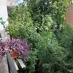 Puskás 2, 3 Terasszal * Budapest