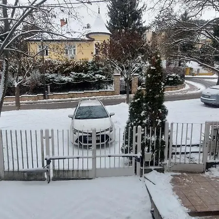 Puskás 2, 3 Terasszal *