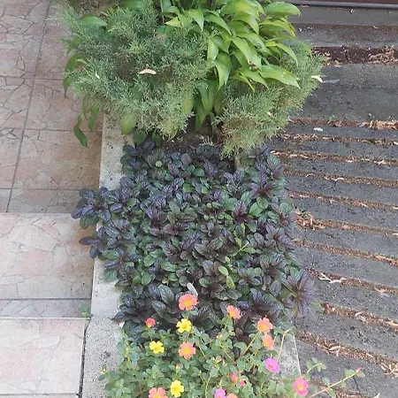 Puskas 2, 3 Terasszal * بودابست