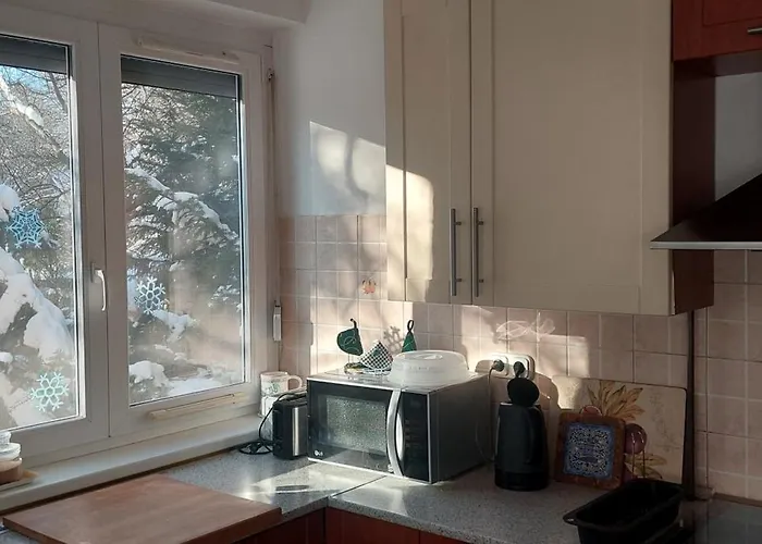 Puskas 2, 3 Terasszal Appartement